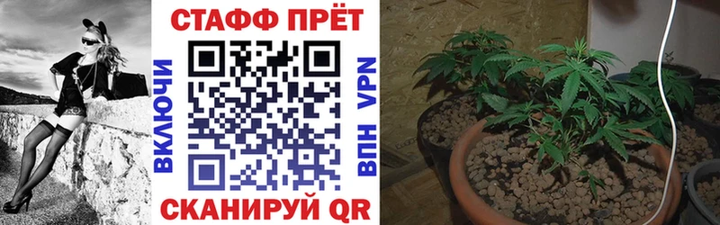 Где купить наркоту Кисловодск Псилоцибиновые грибы  МЕФ  МЕТАДОН  ГАШ 
