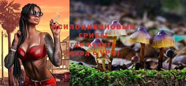 синтетический гашиш Ельня
