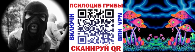 купить наркотики цена Кисловодск kraken зеркало Псилоцибиновые грибы GOLDEN TEACHER